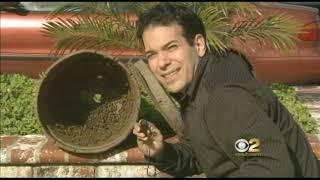 Bee Rehab: Saving Bees from the City Streets | Worst Job I Ever Loved (2008)