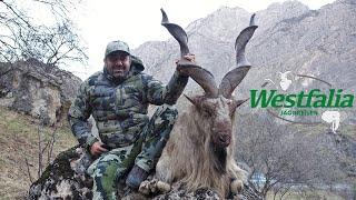 Markhor Hunt in Tajikistan with Westfalia Jagdreisen