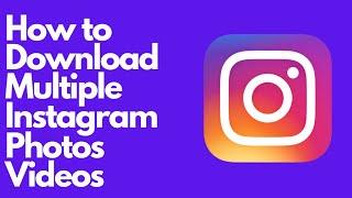 How To Download Multiple Instagram Photos at Once | Multiple Instagram Videos Download