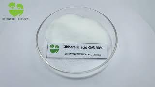 Gibberellic acid GA3 90% TC CAS NO. 77-06-5 Plant Growth Regulator