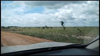 OPORTUNIDADE EM RORAIMA