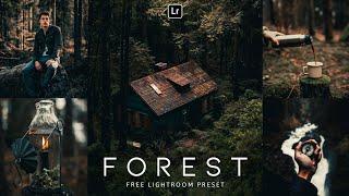 Forest - Lightroom Mobile Preset | Moody presets | Green preset | lightroom presets