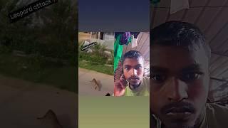 viral video  #shortsfeed #video #viral #trending #ytshorts #youtubeshorts #ytstudio #tiger #tigers