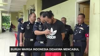 Buruh Warga Indonesia Didakwa Mencabul