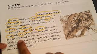 ¿Cómo obtener palabras clave de un texto?