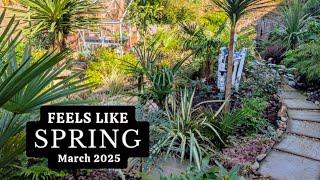 Plants Are Awakening in the Tropical Garden, South Wales 