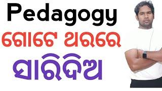 PEDAGOGY IN ONE SHOT  MCQS _THEORY  |  SIR ODIA