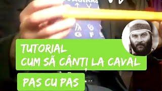 Lecții de caval - Tutorial caval - Curs caval pentru începători ⭐⭐⭐⭐⭐