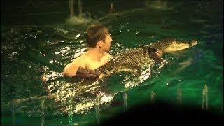 Circus on water. Snakes and crocodiles. Цирк на воде. Змеи и крокодилы