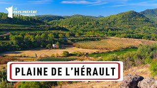 La plaine de l'Hérault : autour du Golfe du Lion - Les 100 lieux qu'il faut voir