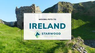 Moving Pets to Ireland | Starwood Pet Travel