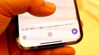 How To Send a Voice Message On WhatsApp! (2023)