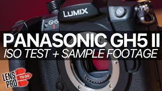 Panasonic GH5 II: ISO Test w/ Low-Light Sample Footage