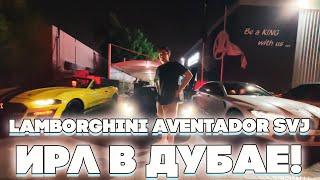 ЭВЕЛОН И ШАДОУКЕК ПЕРВЫЙ РАЗ ГОНЯЮТ НА LAMBORGHINI AVENTADOR SVJ В ДУБАЕ!