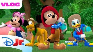 Go Camping with Mickey Mouse, Minnie Mouse & MORE! | Me & Mickey | Compilation | @disneyjr