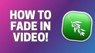 How To Fade In Video in Olive Video Editor