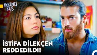 Aşkın Can Divit Hali #36 - Erkenci Kuş