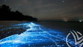 Свечение моря - Bioluminescence