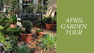 GARDEN TOUR | Florida Cottage Garden | April 2021