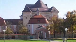 Ulm-Wiblingen - Basilika St  Martin - Vollgeläut