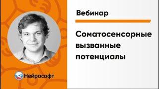 Соматосенсорные Вызванные Потенциалы (ССВП) | ЭМГ и ВП: Экспертные Методики