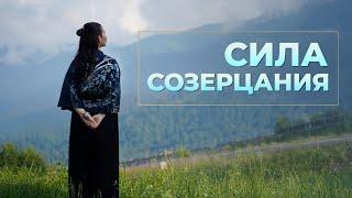 Сила Созерцания. Почему полезно созерцать?