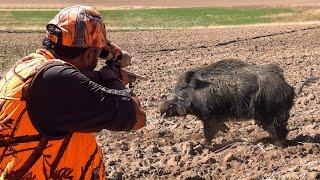 GIANT STRONG BOAR Hunts, INCREDIBLE Rifle Shots, Epic DRONE Chase #hunting #hog