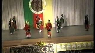 Best Kurdish Song  ||  Zorna and davul  || Kurdish dance || aref cizrawi & isa barwari