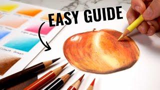 How to blend Polychromos Colour Pencils Step by Step Tutorial