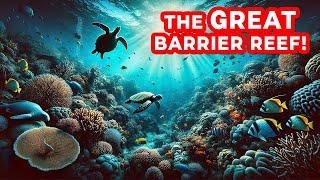 How the Great Barrier Reef is Dying