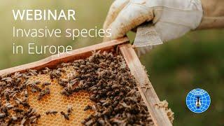 Webinar - Invasive species in Europe