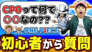 【 ワンピース 】CP0のアレって何で○○なの…？ワンピ初心者の星さんの疑問に答えた結果…！ONE PIECE