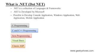 What is .NET (Hindi)