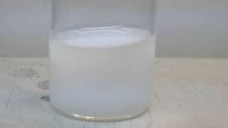 Silver Chemistry: AgCl2 and [Ag(NH3)2](-)