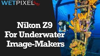 Is the Nikon Z9 the Answer for Underwater Photographers?