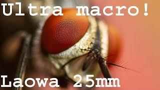 Laowa 25mm f/2.8 Ultra Macro 5x lens review