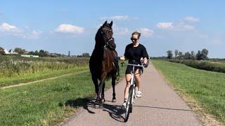 Zadelmak maken - fietsen met paard - speciaal moment - UPDATE -VLOG9