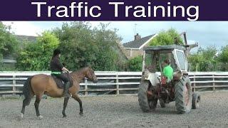 Traffic Training - Teach Your Horse to Stay Calm Whatever You Meet!