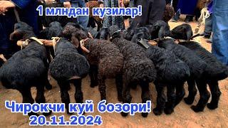 Чирокчи куй бозори нархлари 20.11.2024