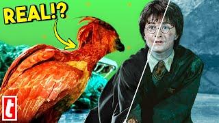 Harry Potter Practical Effects You Thought Were CGI