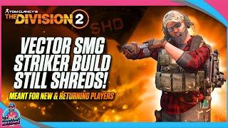 SOLO GROUP PVE BUILD! | THE DIVISION 2 | VECTOR SMG STRIKER PVE BUILD | COYOTE'S MASK STRIKER BUILD!