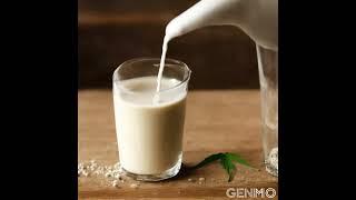 Hemp Milk - The Benefits You Wouldn't Believe