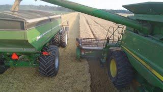 Three Days Of Harvesting Wheat Part Three