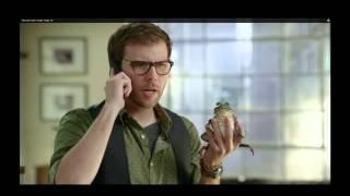 Frog Protection-DISCOVER CARD