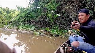 WOW!! THIS IS THE BIG SHRIMP I'M LOOKING FOR | GALAH SHRIMP FISHING #90