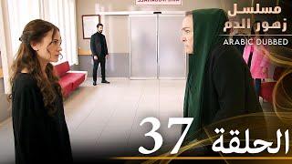 الحلقة 37 | مسلسل زهور الدم | مدبلج بالعربية | Kan Çiçekleri