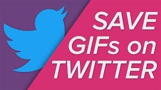 How to Save GIFs on Twitter!
