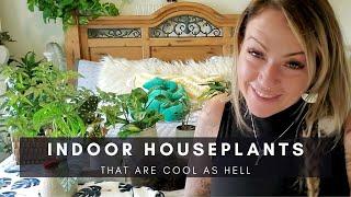 Indoor Plants as Cool as Hell | Underrated Houseplants | Plants of Instagram | Ep 114