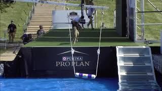 The 2020 Purina Pro Plan Incredible Dog Challenge 1st Place Results - Fetch-It Dog Competition