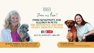 Food Sensitivity and Allergy in Pets: The Difference and How to Get Your Pet Tested